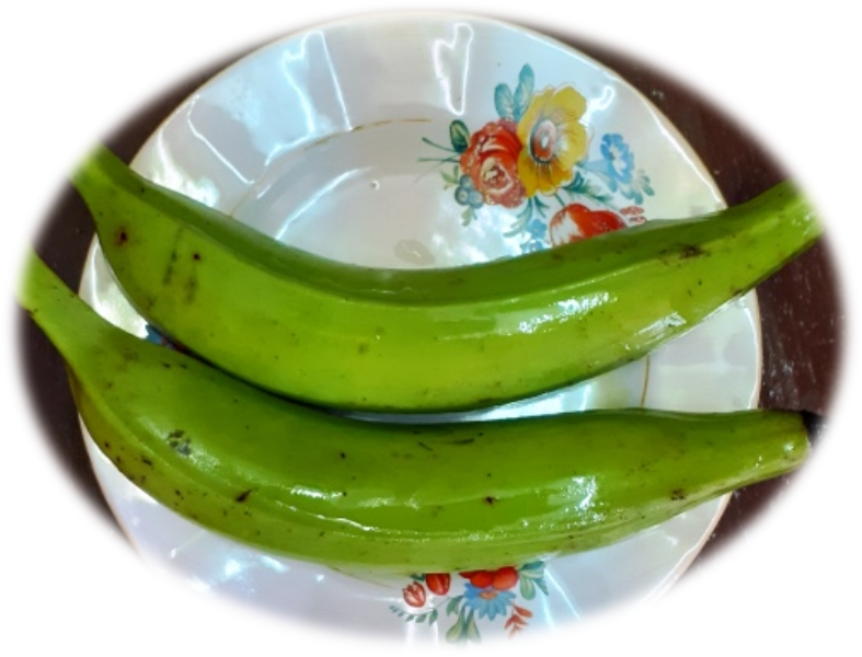Fresh unripe Kerala bananas for crispy banana fingers recipe